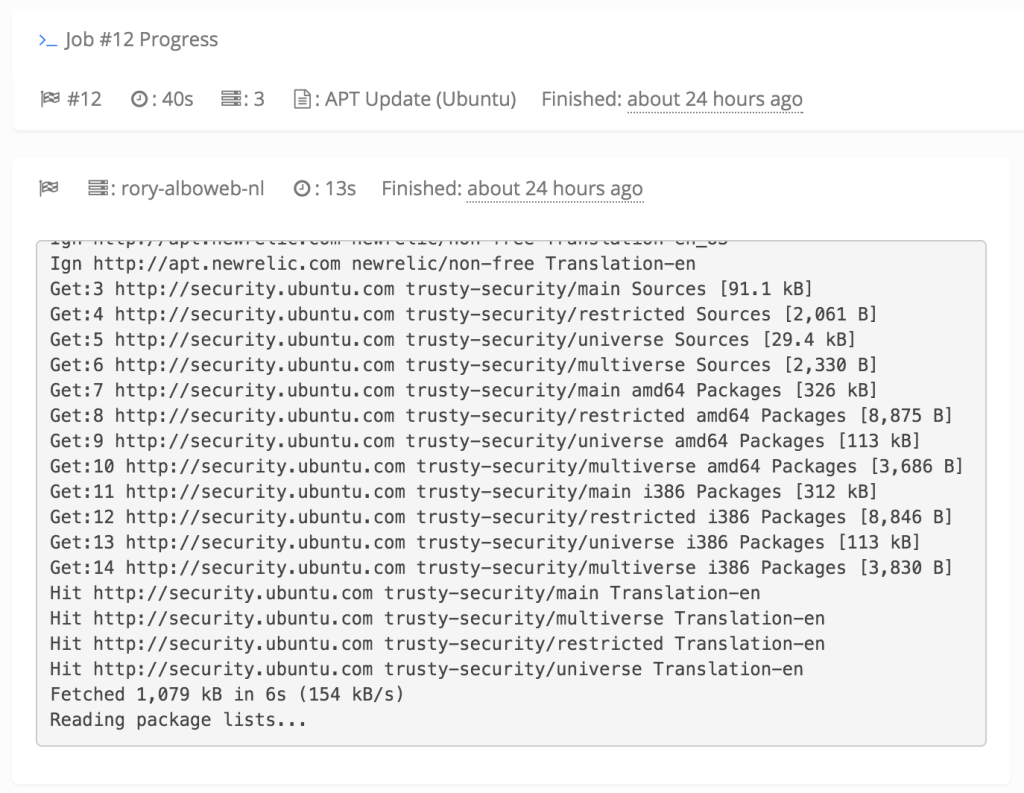 Server Chief successfull execution